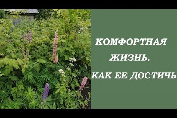 Ссылка на кракена для тора