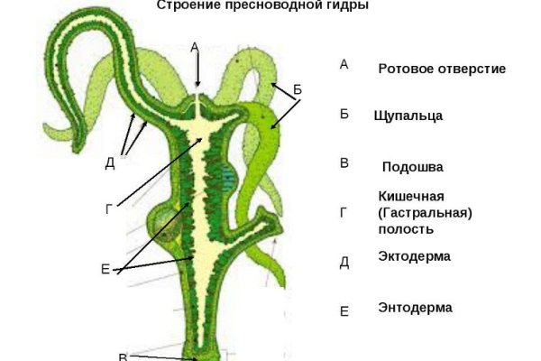 Kraken рабочее зеркало onion